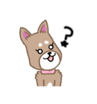 毎日つかえる柴犬スタンプ（個別スタンプ：13）