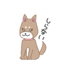 毎日つかえる柴犬スタンプ（個別スタンプ：14）