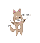毎日つかえる柴犬スタンプ（個別スタンプ：15）