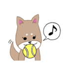 毎日つかえる柴犬スタンプ（個別スタンプ：18）