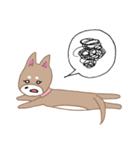 毎日つかえる柴犬スタンプ（個別スタンプ：20）