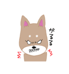 毎日つかえる柴犬スタンプ（個別スタンプ：23）
