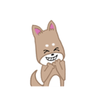 毎日つかえる柴犬スタンプ（個別スタンプ：24）