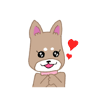 毎日つかえる柴犬スタンプ（個別スタンプ：25）
