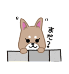 毎日つかえる柴犬スタンプ（個別スタンプ：27）