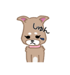毎日つかえる柴犬スタンプ（個別スタンプ：28）