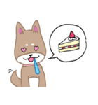 毎日つかえる柴犬スタンプ（個別スタンプ：31）