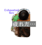 そいたん日和（個別スタンプ：2）