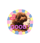 私のコロン（個別スタンプ：1）