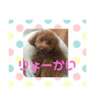 私のコロン（個別スタンプ：2）