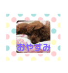 私のコロン（個別スタンプ：4）