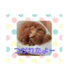 私のコロン（個別スタンプ：6）
