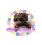 私のコロン（個別スタンプ：7）
