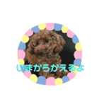 私のコロン（個別スタンプ：10）