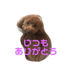 私のコロン（個別スタンプ：11）