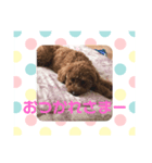私のコロン（個別スタンプ：12）