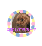 私のコロン（個別スタンプ：15）