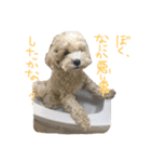 マルプーノンタン（個別スタンプ：2）