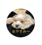 マルプーノンタン（個別スタンプ：9）