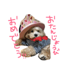 マルプーノンタン（個別スタンプ：12）