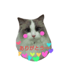"ルナ"の素敵な毎日（個別スタンプ：3）