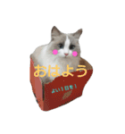 "ルナ"の素敵な毎日（個別スタンプ：5）