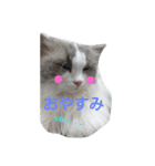 "ルナ"の素敵な毎日（個別スタンプ：6）