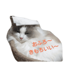 "ルナ"の素敵な毎日（個別スタンプ：11）