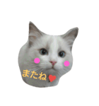 "ルナ"の素敵な毎日（個別スタンプ：16）