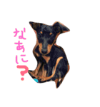 ハナたん（個別スタンプ：1）