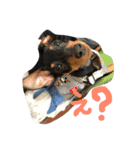 ハナたん（個別スタンプ：5）