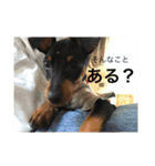 ハナたん（個別スタンプ：7）