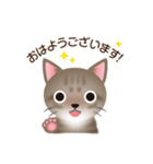 ネコのハッカの可愛い日常スタンプいろいろ（個別スタンプ：2）