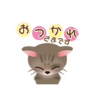 ネコのハッカの可愛い日常スタンプいろいろ（個別スタンプ：5）