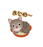 ネコのハッカの可愛い日常スタンプいろいろ（個別スタンプ：10）