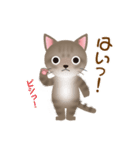 ネコのハッカの可愛い日常スタンプいろいろ（個別スタンプ：17）