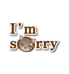 ネコのハッカの可愛い日常スタンプいろいろ（個別スタンプ：29）
