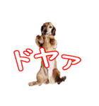 使いやすいオタ犬（個別スタンプ：10）