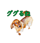 使いやすいオタ犬（個別スタンプ：24）