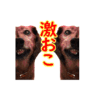 使いやすいオタ犬（個別スタンプ：34）