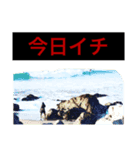 YMスタンプs（個別スタンプ：6）