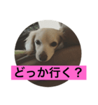 まろんの毎日2（個別スタンプ：3）