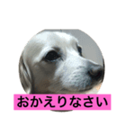 まろんの毎日2（個別スタンプ：4）