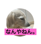 まろんの毎日2（個別スタンプ：6）