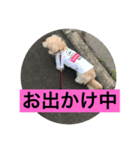 まろんの毎日2（個別スタンプ：8）