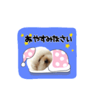 笑顔になれるわんこ達2♪「ゆる駄洒落 編」（個別スタンプ：4）