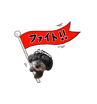 笑顔になれるわんこ達2♪「ゆる駄洒落 編」（個別スタンプ：11）