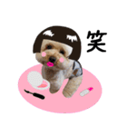 笑顔になれるわんこ達2♪「ゆる駄洒落 編」（個別スタンプ：14）