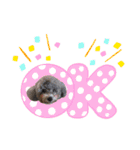 笑顔になれるわんこ達2♪「ゆる駄洒落 編」（個別スタンプ：18）