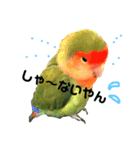 インコのセセリ♂5（個別スタンプ：21）
